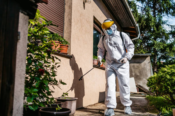Best Bed Bug Extermination  in Shell Lake, WI