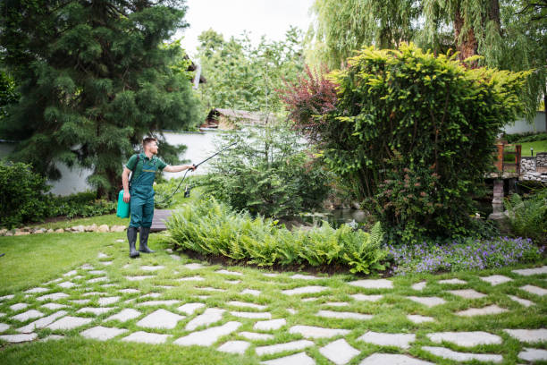 Best Pest Inspection Near Me  in Shell Lake, WI