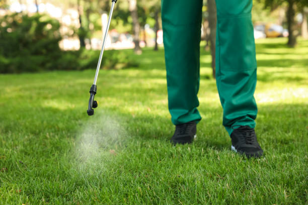Best Best Pest Control Companies  in Shell Lake, WI
