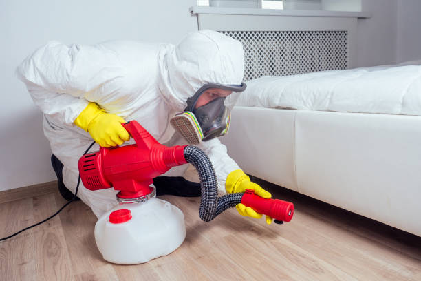 Flea Control Services in Shell Lake, WI