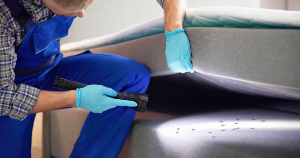 Best Mosquito Control Services  in Shell Lake, WI