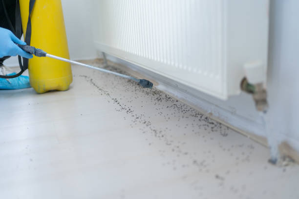 Best Bed Bug Extermination  in Shell Lake, WI